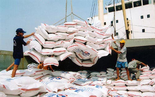 Lúa gạo tiếp tục chịu sức ép giảm giá - 1