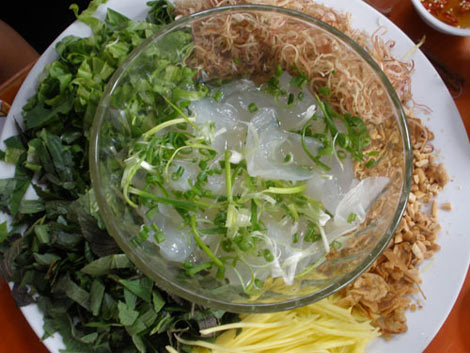 Ngụp lặn cùng sứa - 2