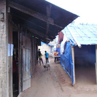 Tin tức trong ngày - La Hủ: “Con hổ” chờ cứu đói