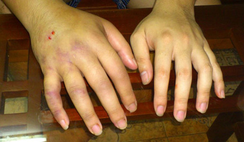 Dân chơi mê loài cá cảnh cực đẹp, cực độc - 4