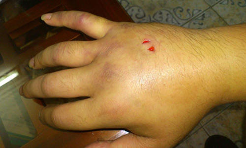 Dân chơi mê loài cá cảnh cực đẹp, cực độc - 5