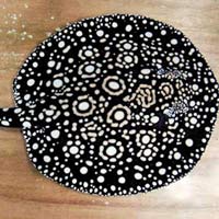 Tin tức trong ngày - Dân chơi mê loài cá cảnh cực đẹp, cực độc