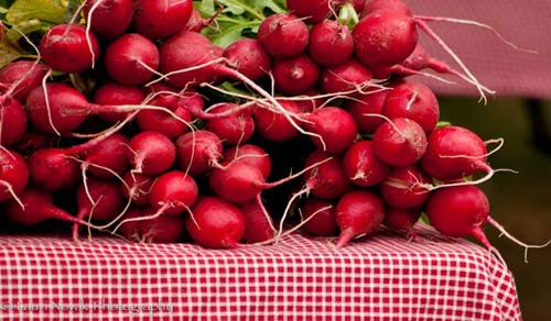 5 thực phẩm tuyệt hảo lúc giao mùa - 4