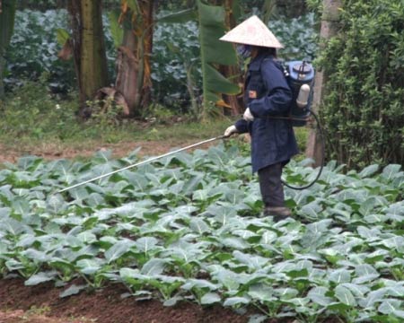 Người Việt: "Ăn bẩn" để cứu trái đất? - 2
