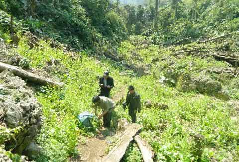 Đột nhập "vựa" cây thuốc phiện ở Tây Bắc - 4