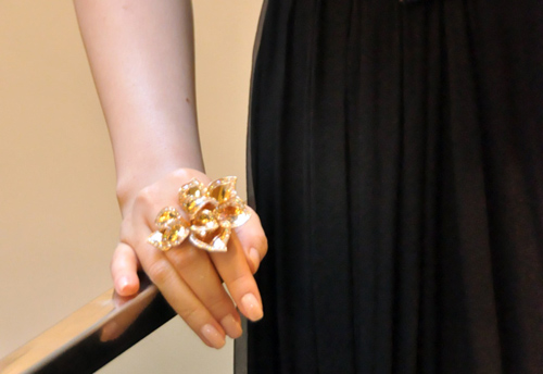 Choáng ngợp gia tài bạc tỷ của Nhã Kỳ - 13