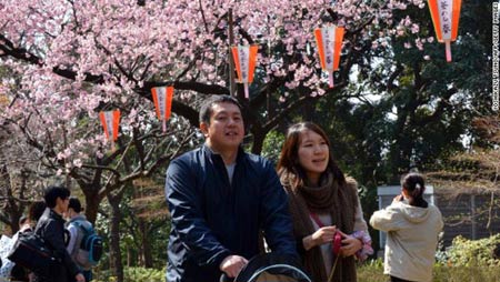 Ngắm cây anh đào đầu tiên nở hoa tại Tokyo - 10