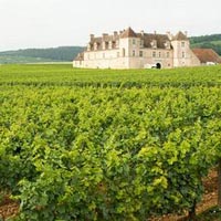 Du lịch - "Thiên đường" rượu nho lớn nhất nước Pháp