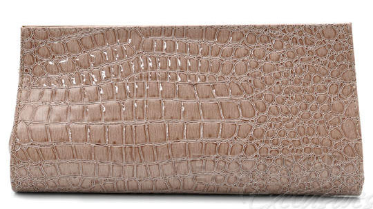 Ví cầm tay thời thượng trên phố - 13