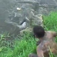 Tin tức trong ngày - Costa Rica: Cá sấu suýt xơi tái nhiếp ảnh gia