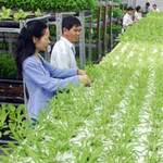 Thị trường - Tiêu dùng - Èo uột FDI nông nghiệp