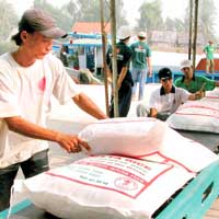 Thị trường - Tiêu dùng - 40 thương nhân xin cấp phép xuất khẩu gạo
