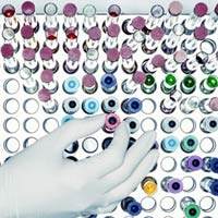 Tin tức trong ngày - Rúng động: Lọ virus chết người bị đánh cắp