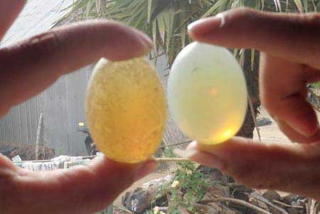 Sự thật về những viên ngọc Phật Trùm - 3