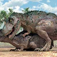 Tin tức trong ngày - Khủng long "ân ái" theo kiểu đối mặt
