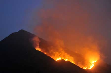 Hơn 700 người cứu rừng cháy ở Lai Châu - 1