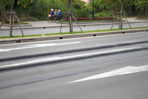 Xuất hiện "đường ray" trên đại lộ nghìn tỷ - 2