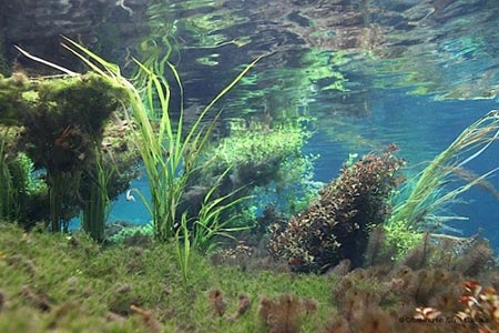 Cảnh tượng tuyệt đẹp dưới những dòng sông 'trinh nữ' - 11