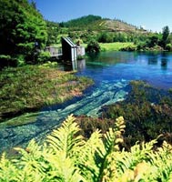 Du lịch - Cảnh tượng tuyệt đẹp dưới những dòng sông 'trinh nữ'