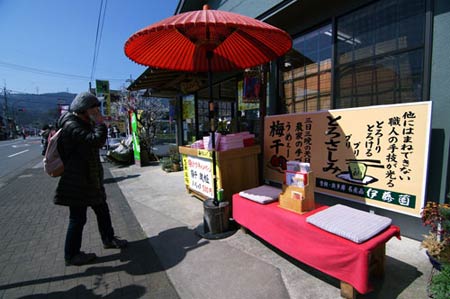 Ngắm vườn hoa mơ tuyệt đẹp ở thành phố Ome - 9