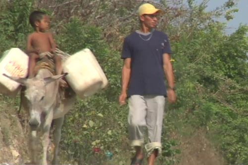 Kỳ lạ tập quán “sex” với… lừa - 1