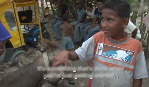 Kỳ lạ tập quán “sex” với… lừa - 3