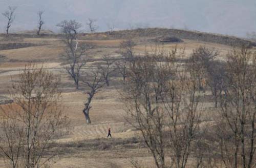 Nóng như khu phi quân sự Triều Tiên - 5