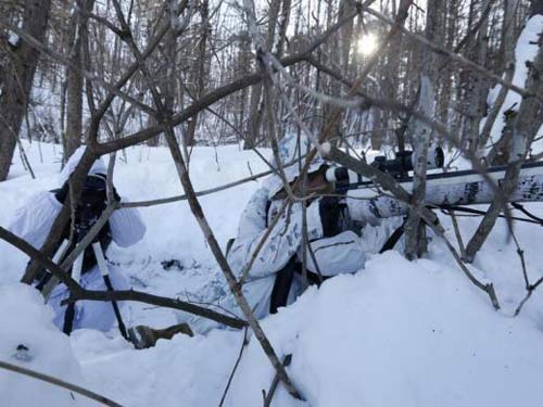 Nóng như khu phi quân sự Triều Tiên - 1