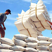 Thị trường - Tiêu dùng - Xuất khẩu 1,1 triệu tấn gạo trong quý I