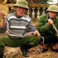 Tin tức trong ngày - Ly kỳ người 40 năm lên rừng bắt rắn