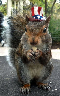 10 câu chuyện kỳ quặc nhất 2013 (P1) - 4