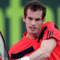 Thể thao - Murray - Mayer: Thuốc thử liều cao (V2 Qatar Open)