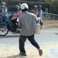 Tin tức trong ngày - Đồng Nai: Thêm vụ "hôi bắp" của xe tải gặp nạn