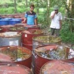 Chôn thuốc sâu: Tặng bằng khen cho người tố giác