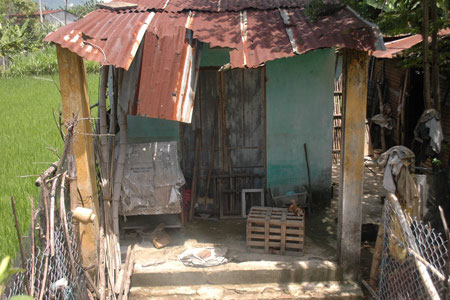 Cậu SV gác bút đi làm thuê nuôi mẹ tâm thần - 2