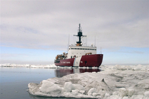 Tàu phá băng Mỹ giải cứu tàu Nga-Trung mắc kẹt - 1