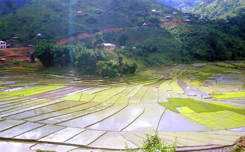 Vẻ đẹp kỳ vĩ ở Tây Giang - 4