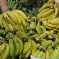 Sức khỏe đời sống - Cách cực hay chữa viêm loét đường tiêu hóa