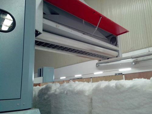 Nữ công nhân bị máy ăn bông vải hút thiệt mạng - 2