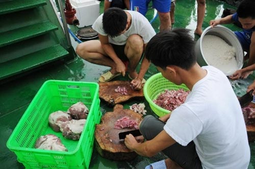 Sắc xuân ở Trường Sa - 10