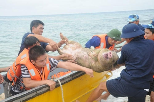 Sắc xuân ở Trường Sa - 4