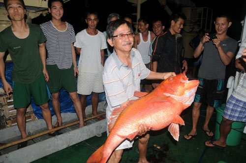 Sắc xuân ở Trường Sa - 5