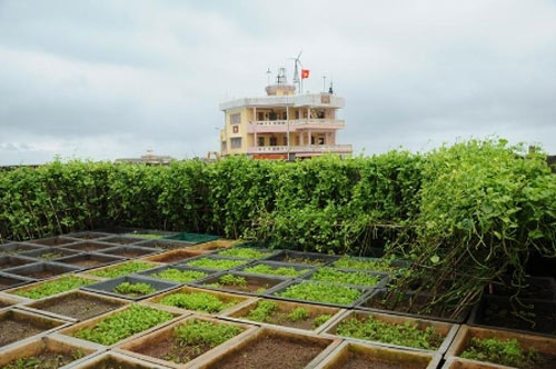 Sắc xuân ở Trường Sa - 6