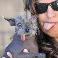 Cười 24h - Top clip hài: Những cái lưỡi hài hước