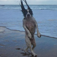 Phi thường - kỳ quặc - 6 con vật "thái độ" với thời tiết