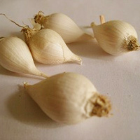 Thị trường - Tiêu dùng - Tỏi một nhánh giá gần triệu đồng/kg cháy hàng