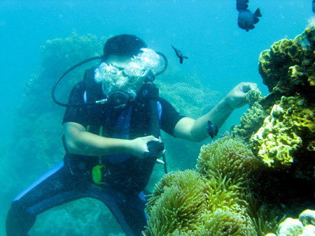 Kỳ thú lặn biển Nha Trang - 1