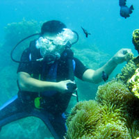 Du lịch - Kỳ thú lặn biển Nha Trang