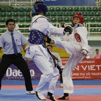 Thể thao - TTVN sẽ tranh tài ở khoảng 22 môn tại ASIAD 2014