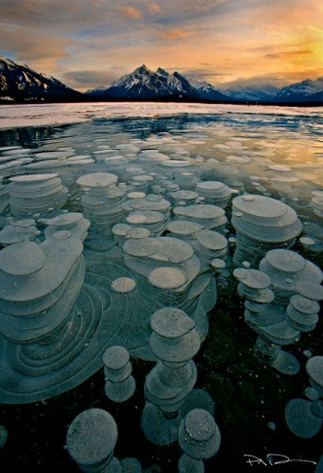 Bong bóng khí mêtan dưới đáy hồ tạo nên những đốm trắng kỳ ảo ẩn dưới lớp băng tuyết trên mặt hồ, điều này mang đến cho hồ Abraham cảnh quan vô cùng ấn tượng vào mùa đông.
